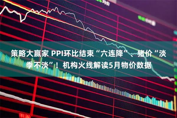 策略大赢家 PPI环比结束“六连降”、猪价“淡季不淡”！机构火线解读5月物价数据