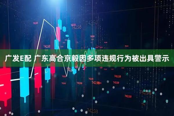 广发E配 广东高合京毅因多项违规行为被出具警示