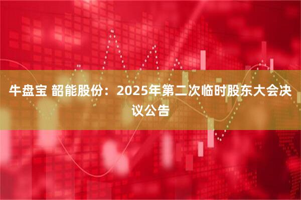 牛盘宝 韶能股份：2025年第二次临时股东大会决议公告